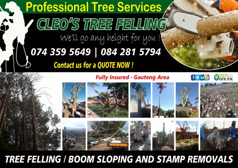 Cleos Tree Felling 768x543