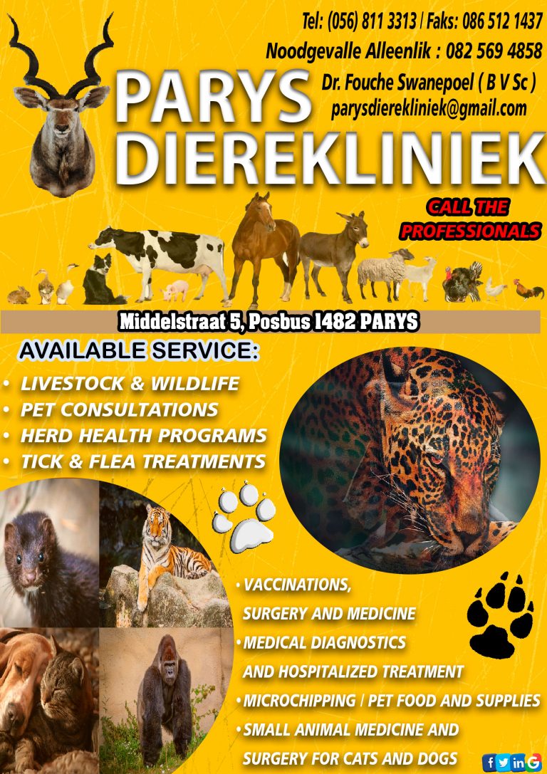 Parys Dierekliniek new 768x1087