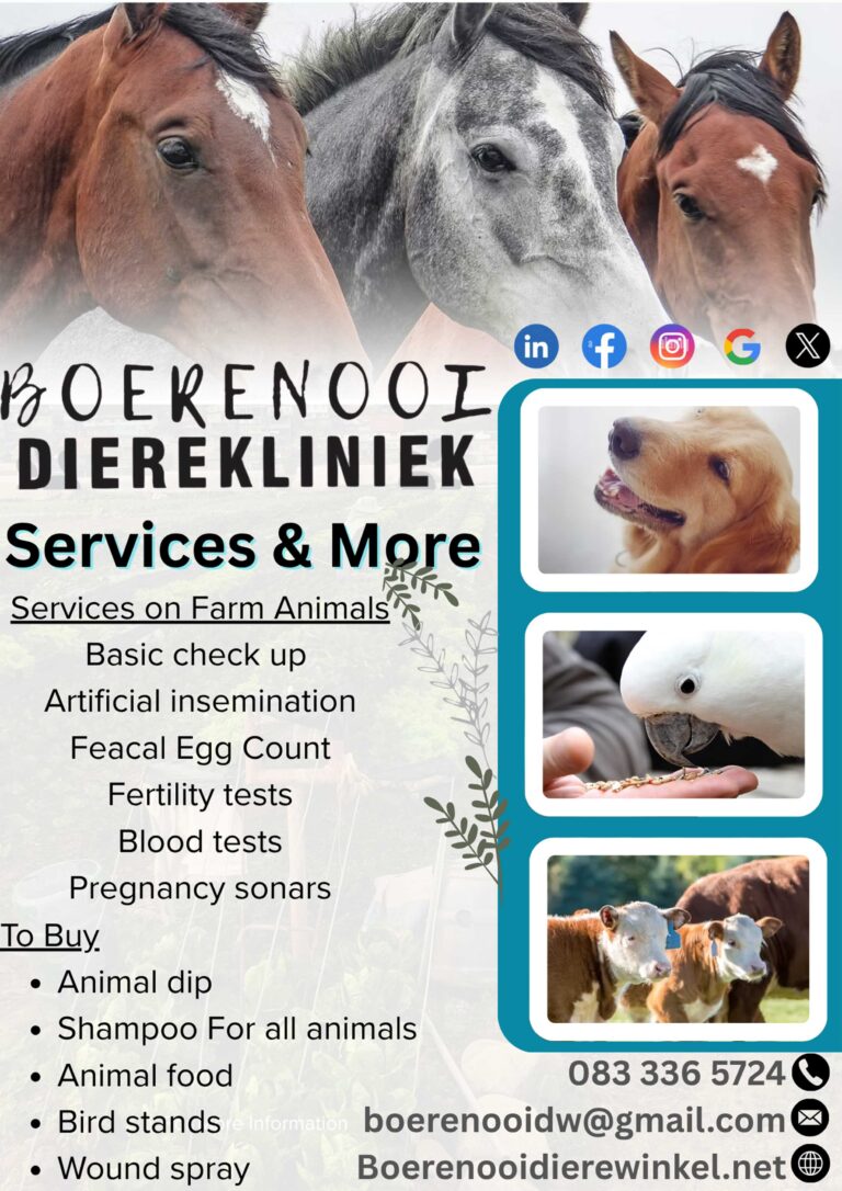 Boerenooi Ps 768x1086